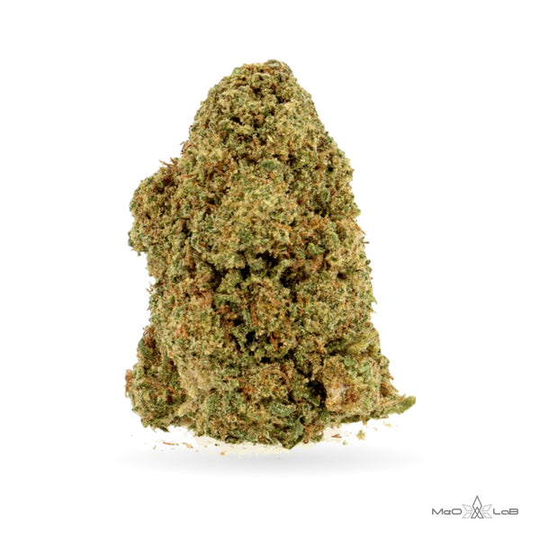 Orange Bud - MeO-LaB
