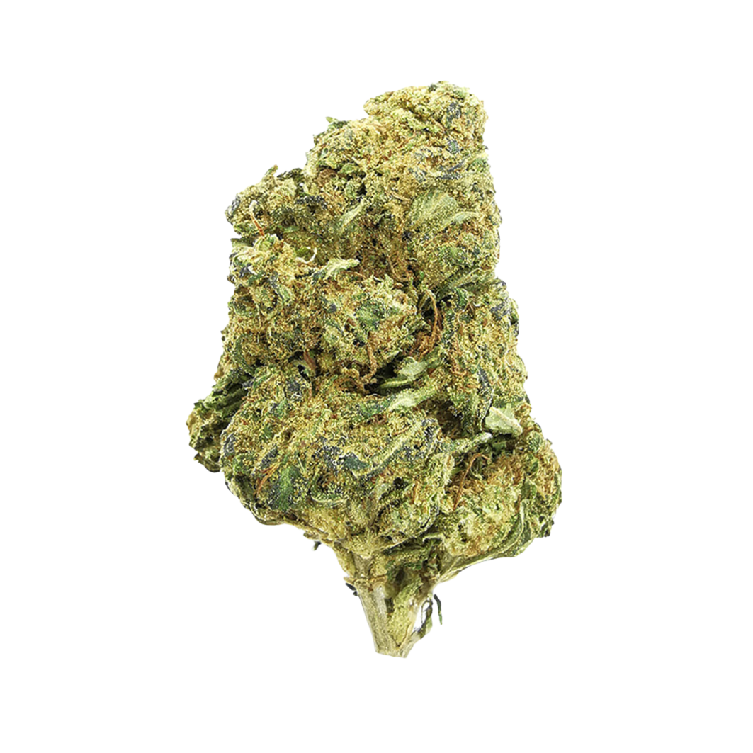 L.A. Cali INDOOR