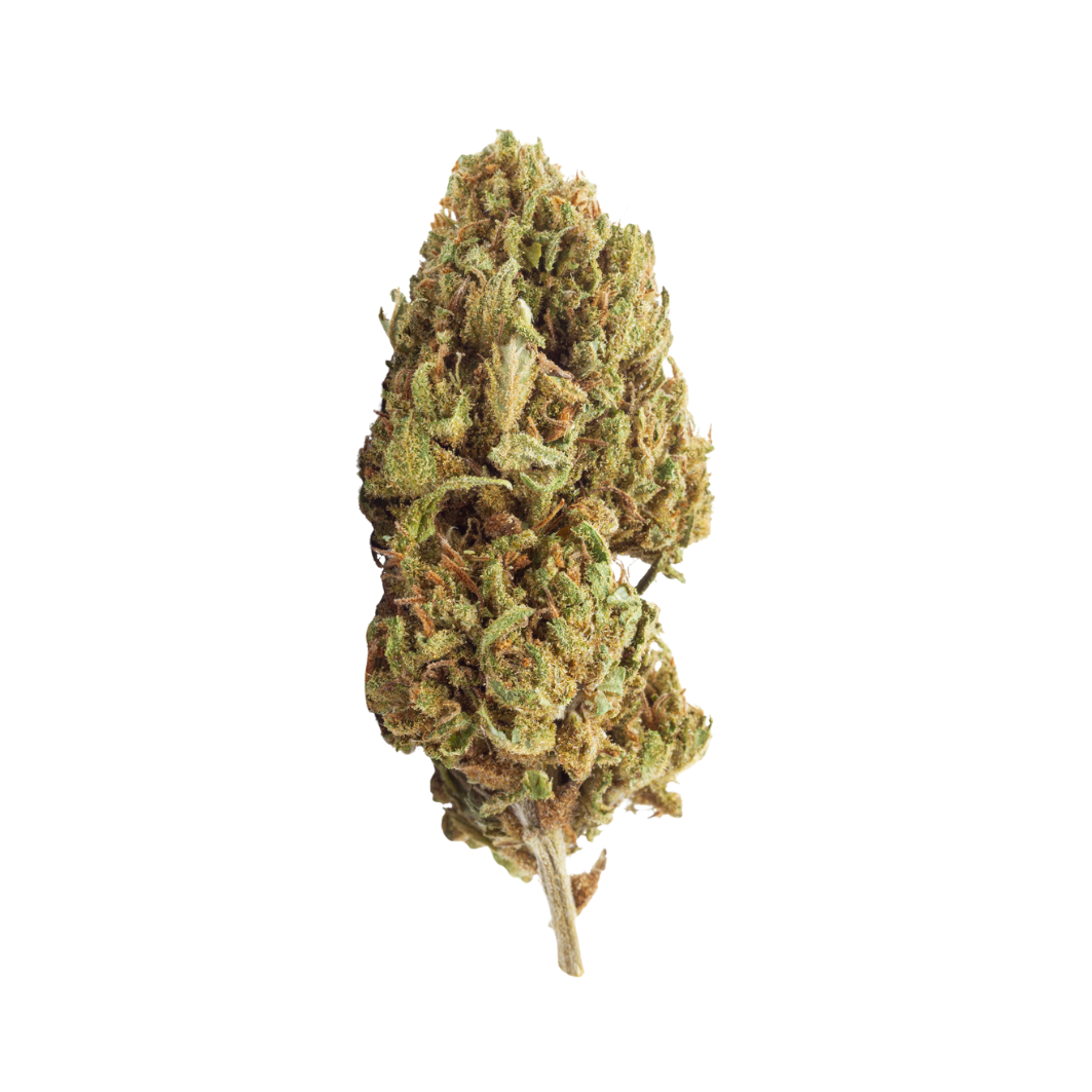 Jack Herer
