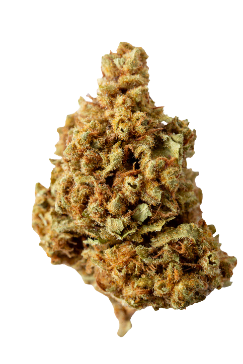 Gelato