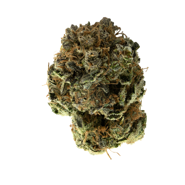 Jack Herer