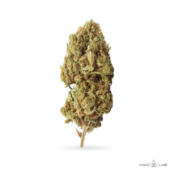 Candy Kush - MeO-LaB