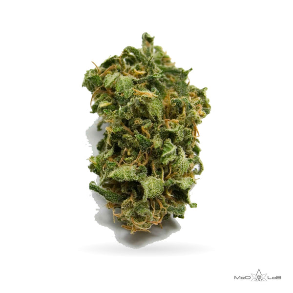 Harlequin - MeO-LaB