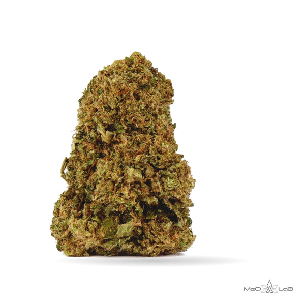 Orange Bud – fiori CBD MeO-LaB