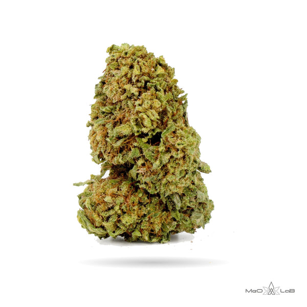 Super Skunk – fiori di cannabis light CBD MeO-LaB